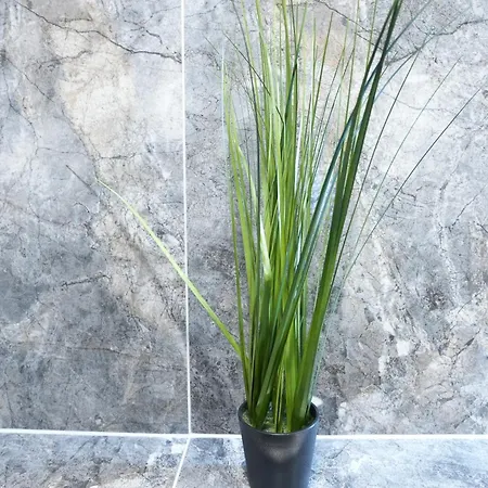 Luxury - Ib - Gemuetliches Iii Stock * Neuwied