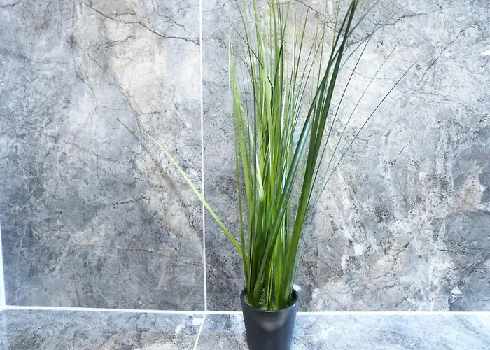 Luxury - Ib - Gemuetliches * Neuwied